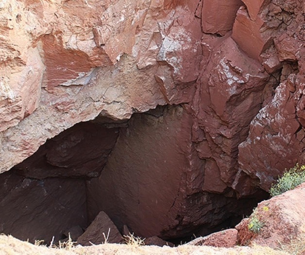Encuentran un animal troglodita de género totalmente desconocido