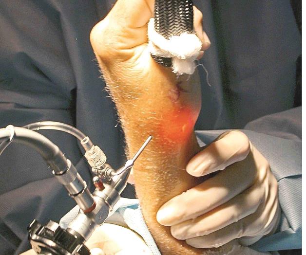 Revoluciona la atención ortopédica