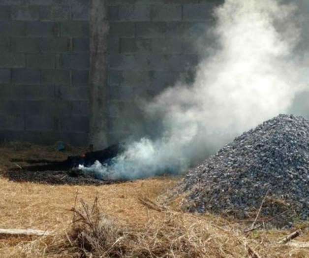 Ahuyentan a mosquitos con humaredas Ahuyentan a mosquitos con humaredas