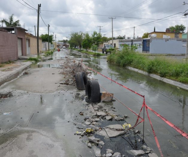 Parásitos en el agua, peligro para la salud. En riesgo de sufrir malestares estomacales Parásitos en el agua, peligro para la salud. En riesgo de sufrir malestares estomacales
