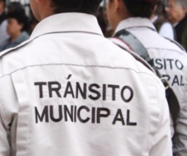 Encabeza Tránsito Local demandas Encabeza Tránsito Local demandas