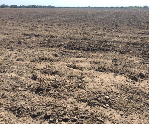 Confían productores en que lleguen más lluvias