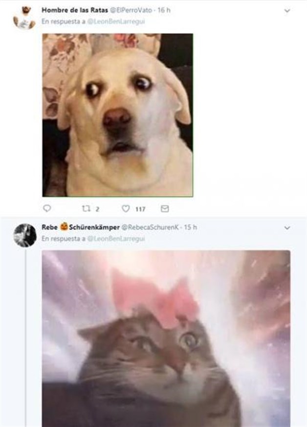 PlaceHolder Imagen PlaceHolder Imagen