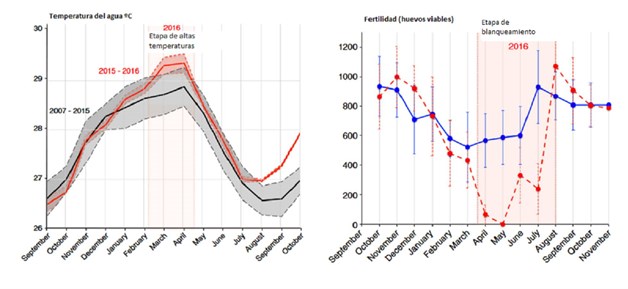 Se dificultará encontrar a Nemo gracias al cambio climático