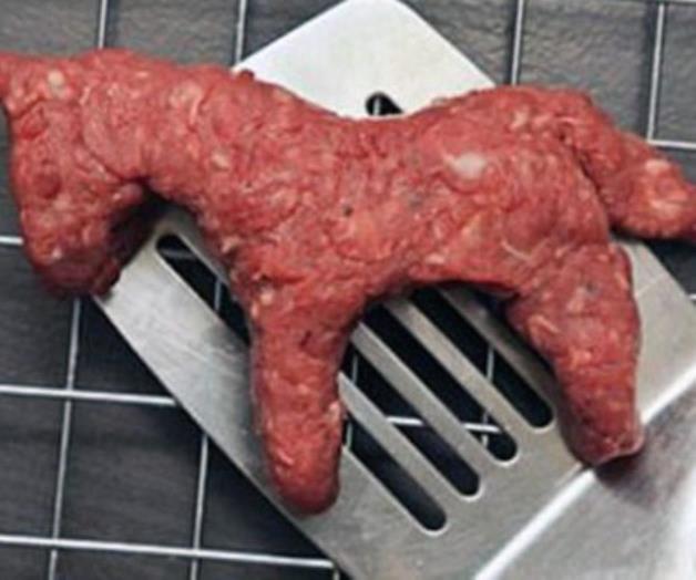 Carne de caballo sí es apta para consumo humano Carne de caballo sí es apta para consumo humano