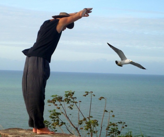 El hombre y la gaviota El hombre y la gaviota