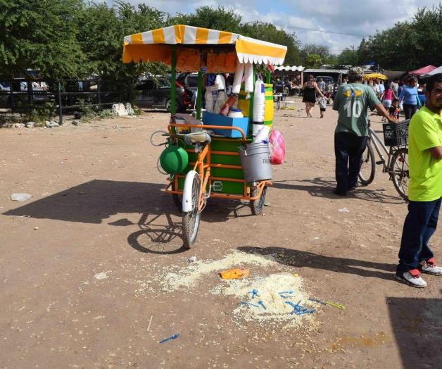 Embiste camioneta a un joven elotero Embiste camioneta a un joven elotero