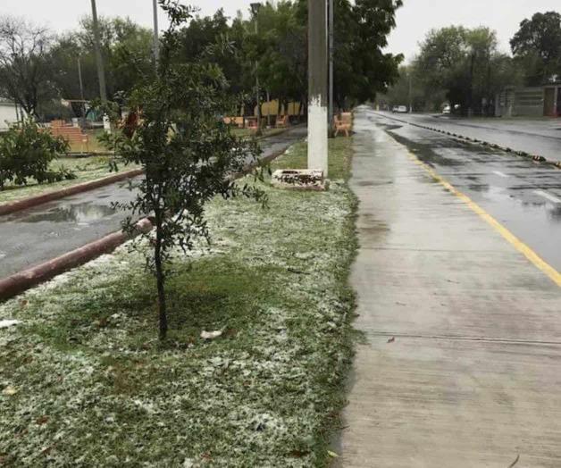 Reviven alegría vivida en el 2004 Reviven alegría vivida en el 2004