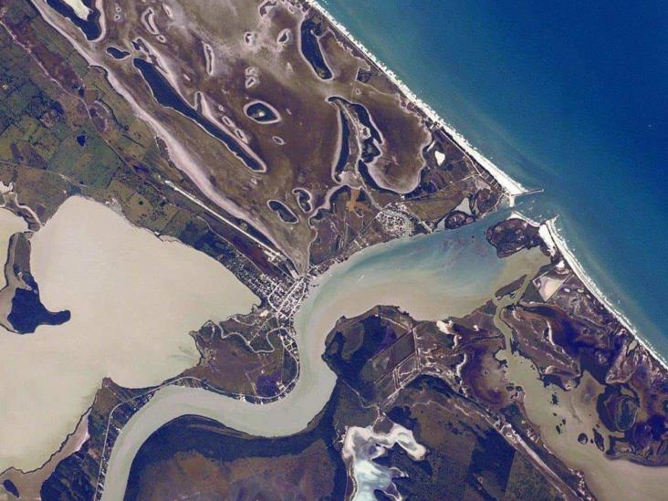 Estudia UAT hábitat del camarón en río Estudia UAT hábitat del camarón en río