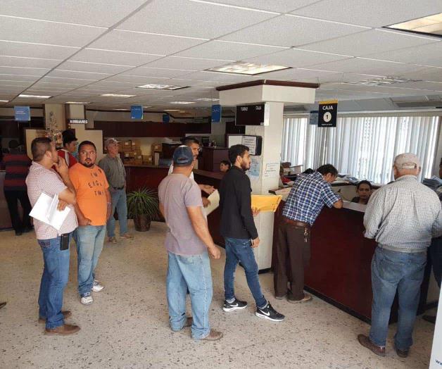 Llegan formatos para las licencias