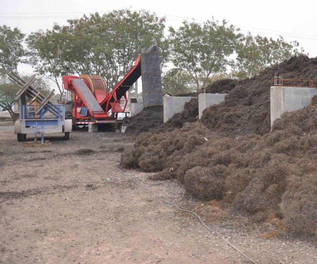 Proyectan habilitar jardines ecológicos Proyectan habilitar jardines ecológicos