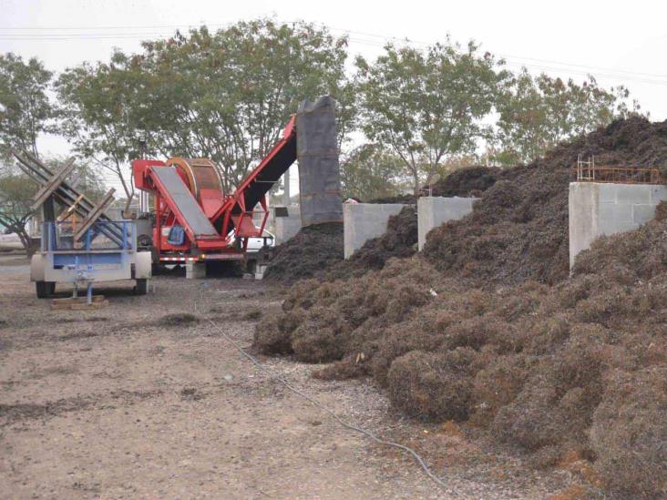 Proyectan habilitar jardines ecológicos Proyectan habilitar jardines ecológicos