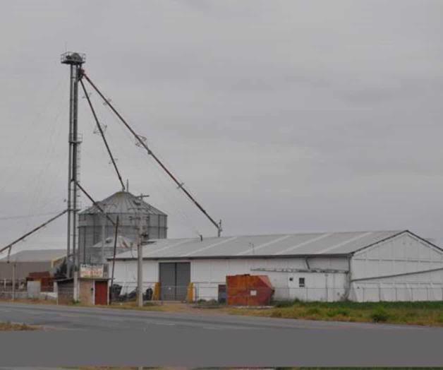Anuncia la desaparición del Proagro. Productores al borde de la quiebra