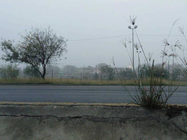 Bancos de niebla afectan Tamaulipas y Nuevo León Bancos de niebla afectan Tamaulipas y Nuevo León