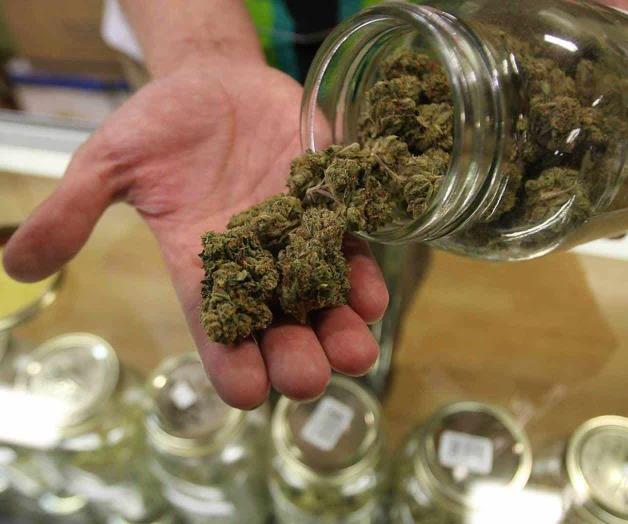 Entra en vigor permisos para marihuana recreativa en California