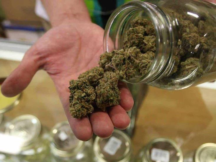 Entra en vigor permisos para marihuana recreativa en California Entra en vigor permisos para marihuana recreativa en California