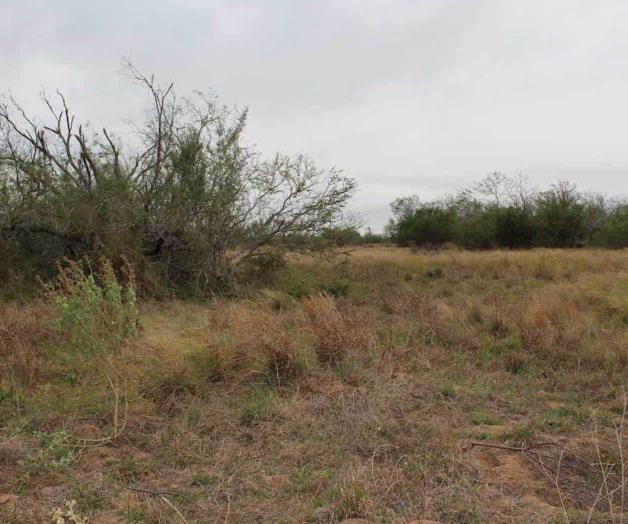 Preocupan incendios forestales en invierno