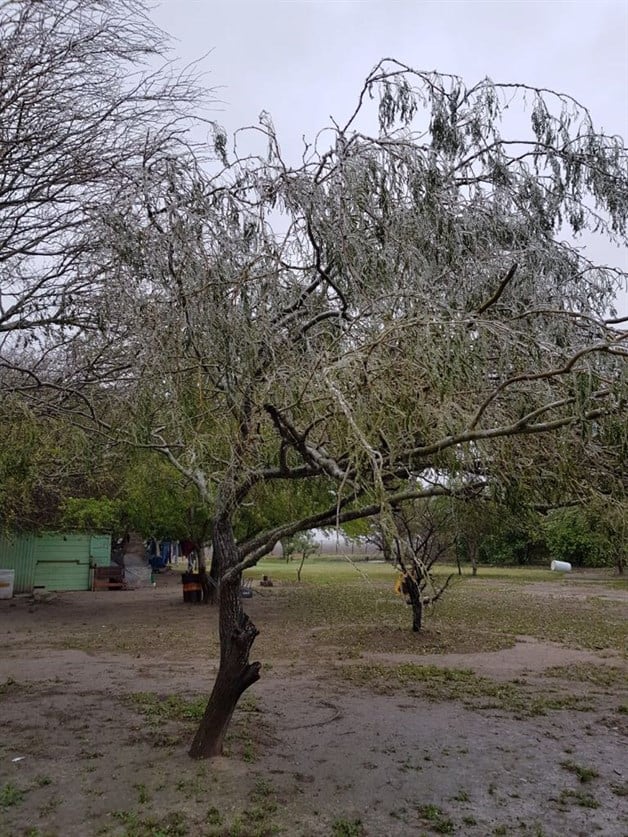 Cae la primera helada del 2018. Arriba Frente Frío 20
