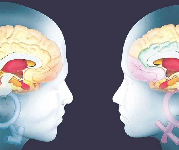 Neurólogos descubren el lugar del cerebro donde se fabrican los sueños