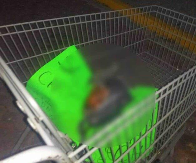 Dejan cabeza de sujeto en carrito del estacionamiento de Walmart de Victoria Dejan cabeza de sujeto en carrito del estacionamiento de Walmart de Victoria