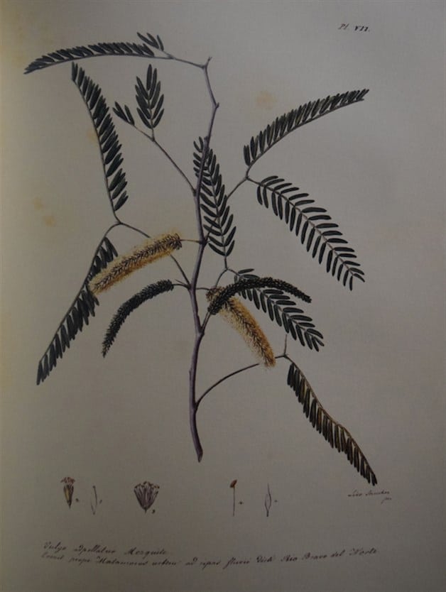 PlaceHolder Imagen PlaceHolder Imagen