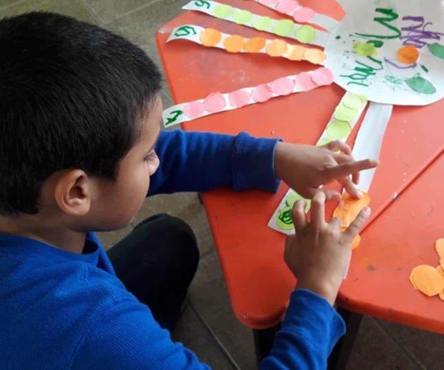 Usan pulpo virtual para matemáticas Usan pulpo virtual para matemáticas