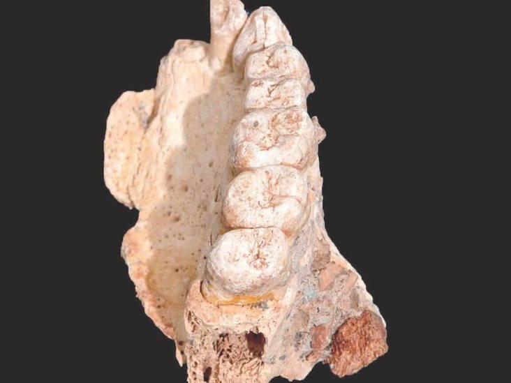 Un candidato a ser el ‘homo sapiens’ más antiguo del mundo Un candidato a ser el ‘homo sapiens’ más antiguo del mundo