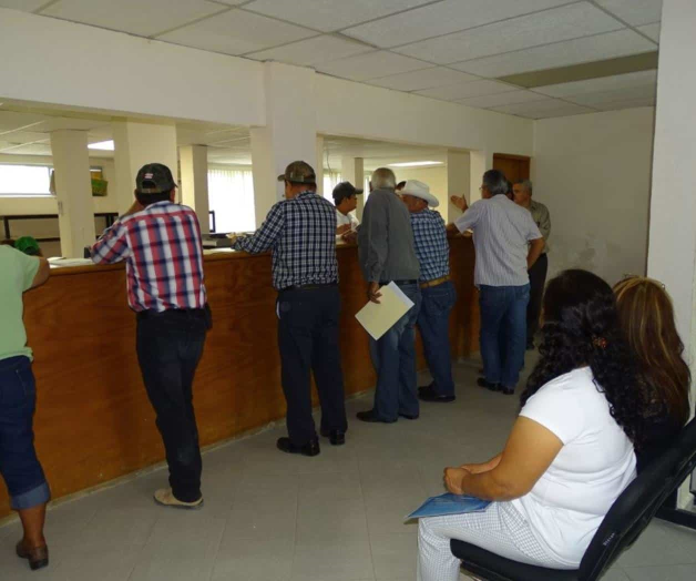 Retraso en inscripciones al Proagro; culpan al Internet