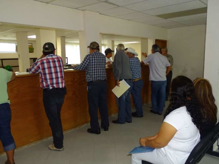 Retraso en inscripciones al Proagro; culpan al Internet Retraso en inscripciones al Proagro; culpan al Internet