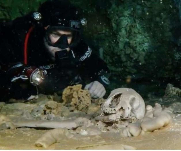 Hallan en cenote restos humanos de 10 mil años Hallan en cenote restos humanos de 10 mil años