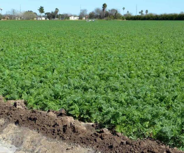 Participan productores en programa educativo. Nuevas tecnologías de conservación del agua