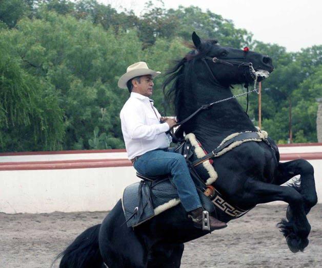 ‘El Bronco’, desafío para INE y TEPJF