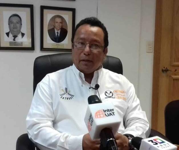 Estudian el propóleo en pollos de engorda. Experimentan alternativas en la producción avícola