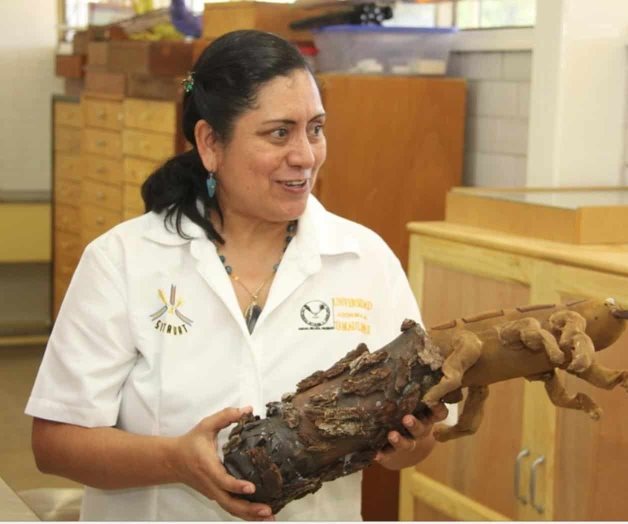 Lleva la UAT educación  ambiental al área rural. Realizan alumnos estudios de impacto