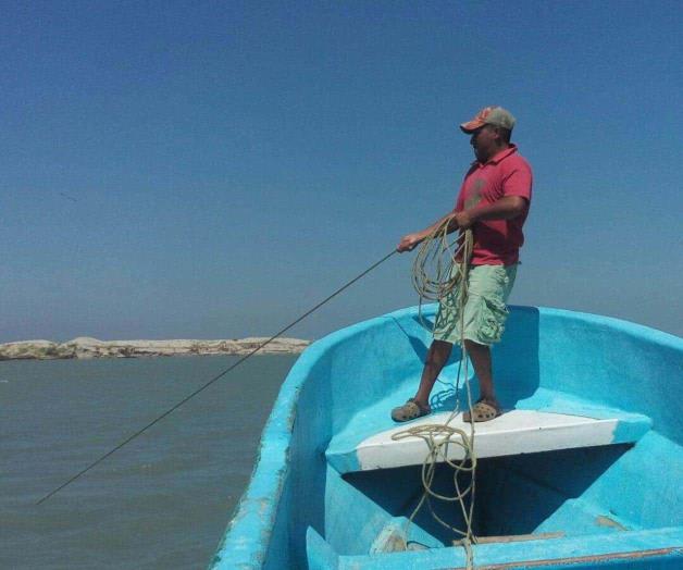 Fijan veda de camarón para Laguna Madre