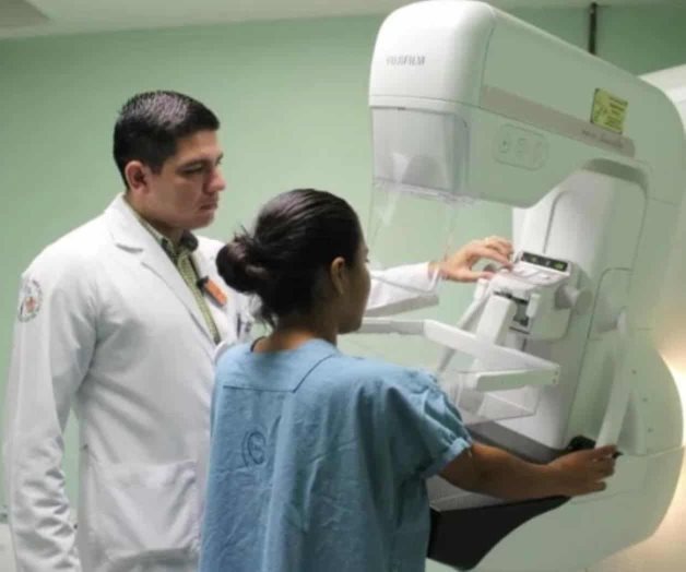 Toman medidas contra el dengue