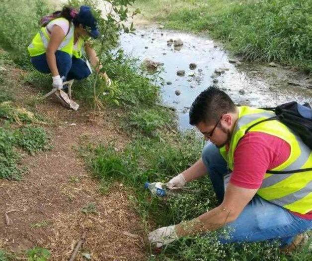 Le dan una ‘manita de gato’ en su día Le dan una ‘manita de gato’ en su día