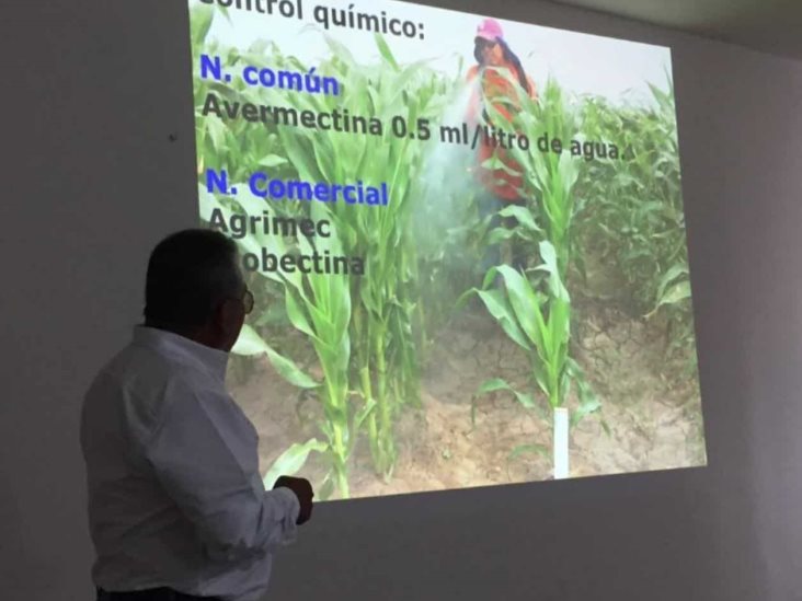 Imparten curso sobre control de plagas Imparten curso sobre control de plagas