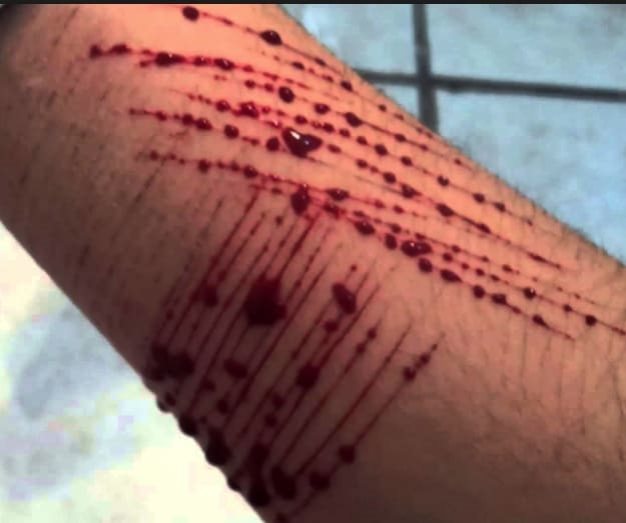 Le mochan mano a ex Rector en Tabasco Le mochan mano a ex Rector en Tabasco