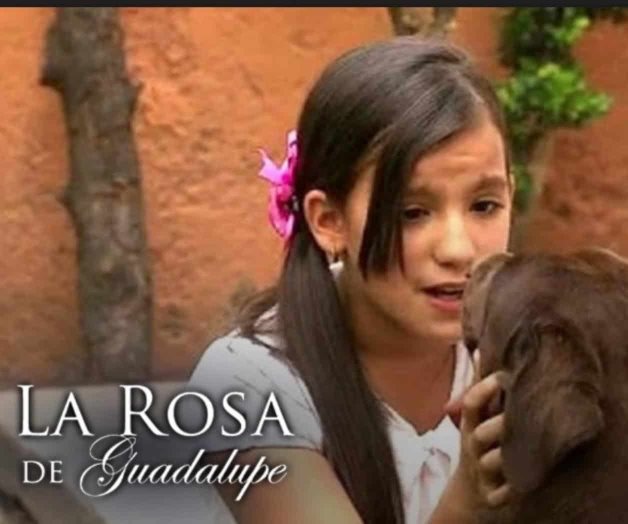 La Rosa de Guadalupe y Como dice el dicho, programas más vistos por los niños
