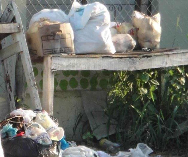 Generan riesgos de focos infección Generan riesgos de focos infección