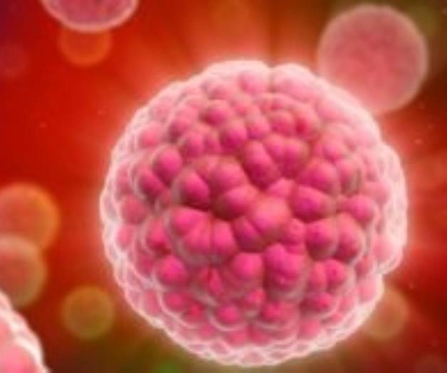 Verrugas genitales, no son algo normal Verrugas genitales, no son algo normal