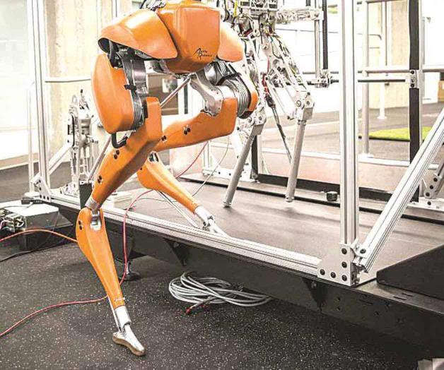 Guardianes, exploradores y ‘transformers’ Guardianes, exploradores y ‘transformers’