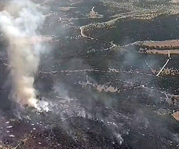 Incendio arrasa con cientos de acres en Palo Pinto, Texas