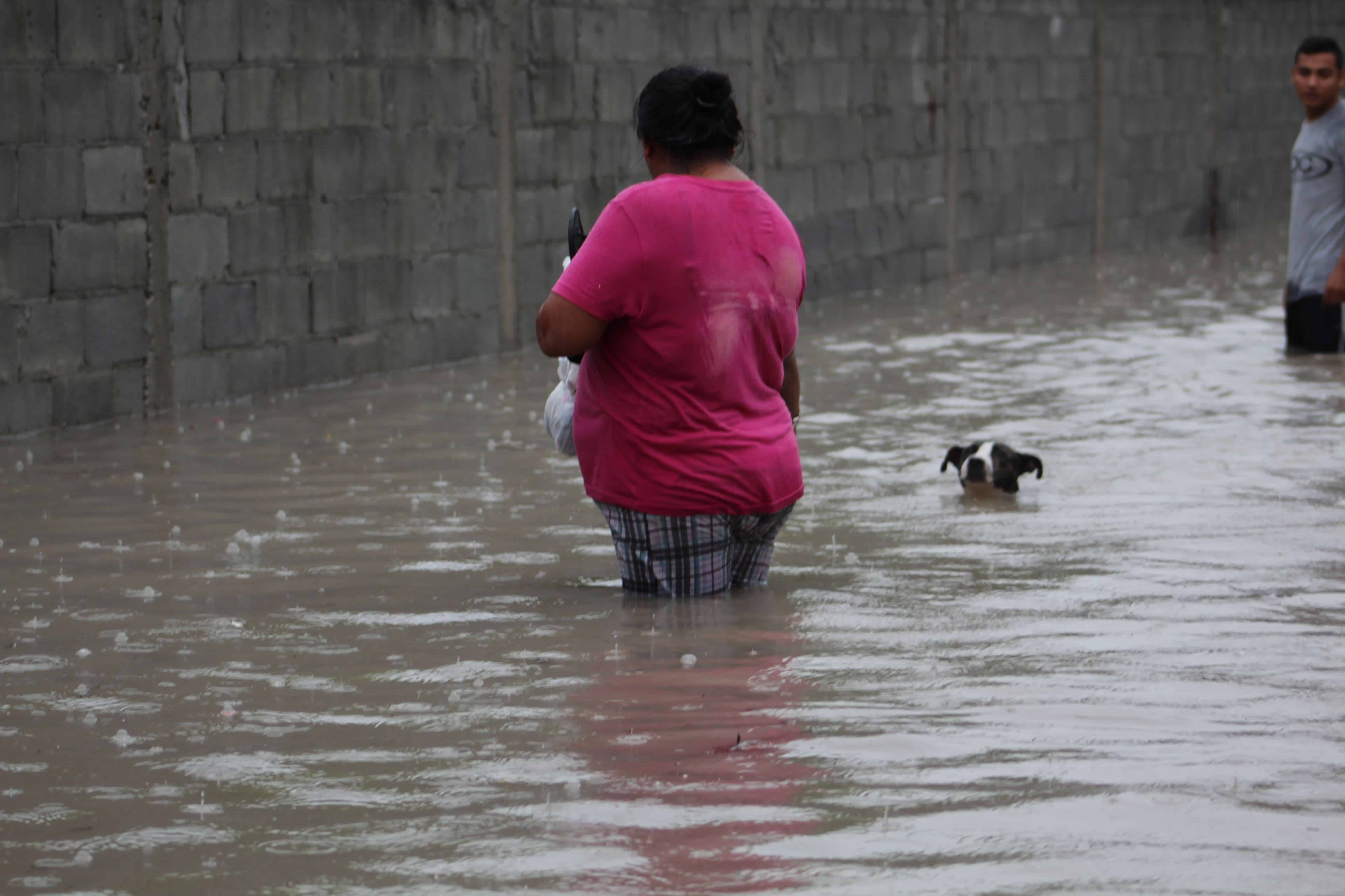 Familias damnificadas por la inundación se ponen a salvo junto con sus mascotas, en esos aciagos días del vendaval que flageló la ciudad.