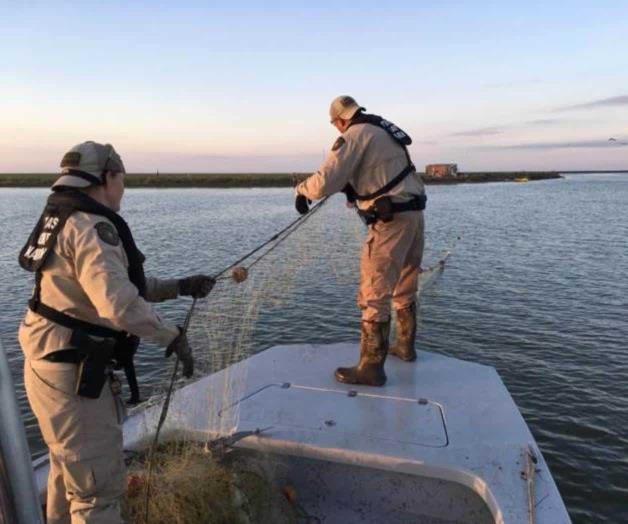 Patrullan la Laguna y Golfo; eliminan trampas ilegales Patrullan la Laguna y Golfo; eliminan trampas ilegales