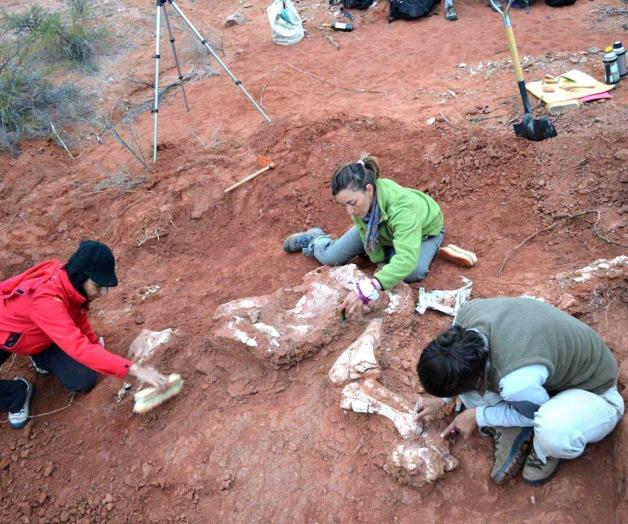 Descubren en Argentina el primer dinosaurio gigante