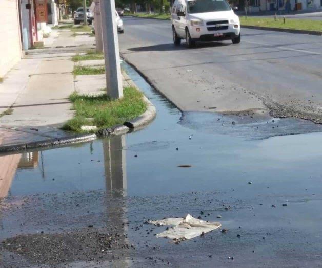 Baches y aguas negras son un serio problema