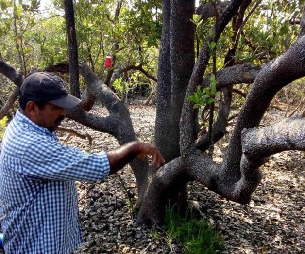 ALTAMIRA: Ecocidio en laguna de San Andrés