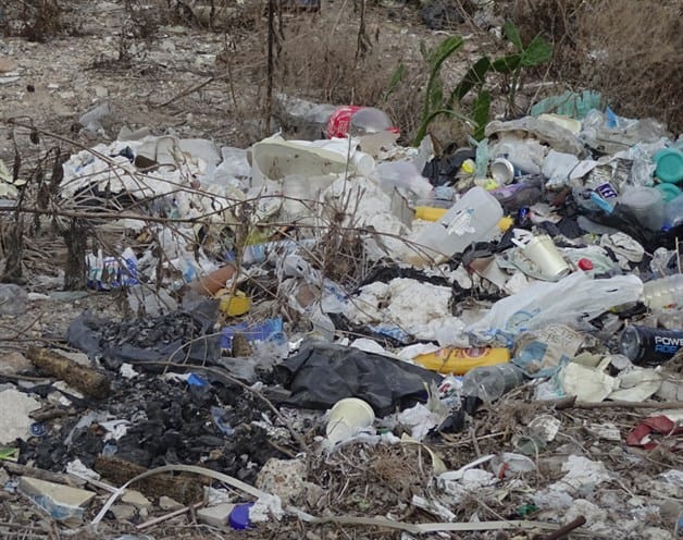 Brindan pésima imagen a ciudad. Posible foco de infección para familias